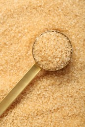 Photo of Scoop on granulated brown sugar, above view