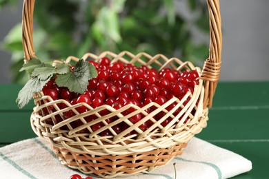 Photo of Ripe red currants and leaves in wicker basket on green table, closeup