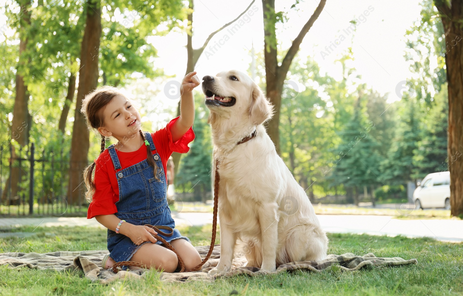 Photo of Cute little child with his pet in green park