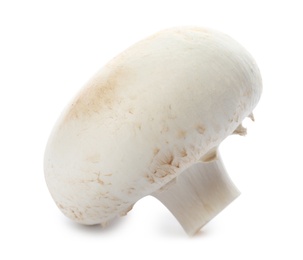 Fresh raw champignon mushroom on white background