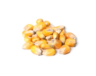 Pile of corn seeds on white background