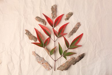 Photo of Tree bark pieces and twig with leaves on beige crumpled paper, flat lay