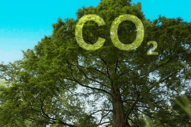 Image of Concept of clear air. CO2 inscription and beautiful green tree under blue sky, low angle view
