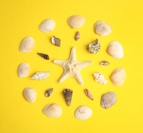 Different beautiful sea shells on yellow background, flat lay