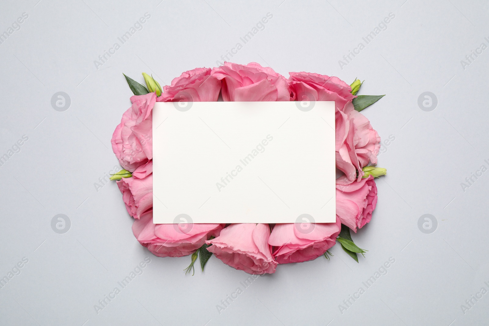 Photo of Beautiful pink Eustoma flowers and card with space for text on light grey background, flat lay