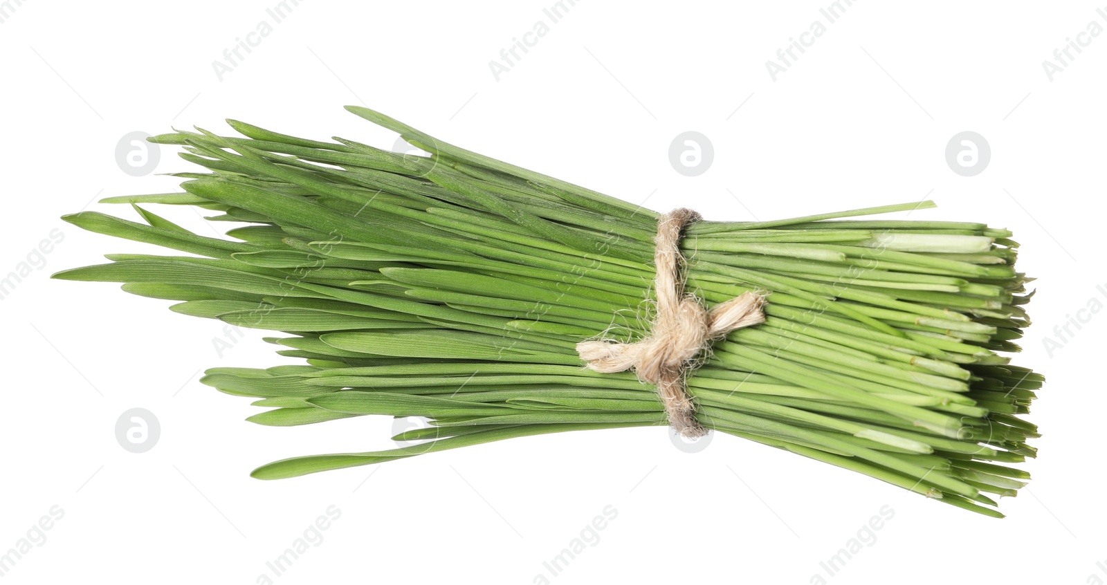 Photo of Bunch of fresh wheat grass sprouts isolated on white