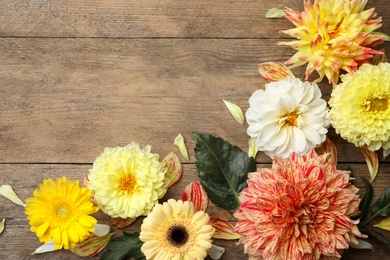 Photo of Flat lay composition with beautiful dahlia flowers on wooden background. Space for text