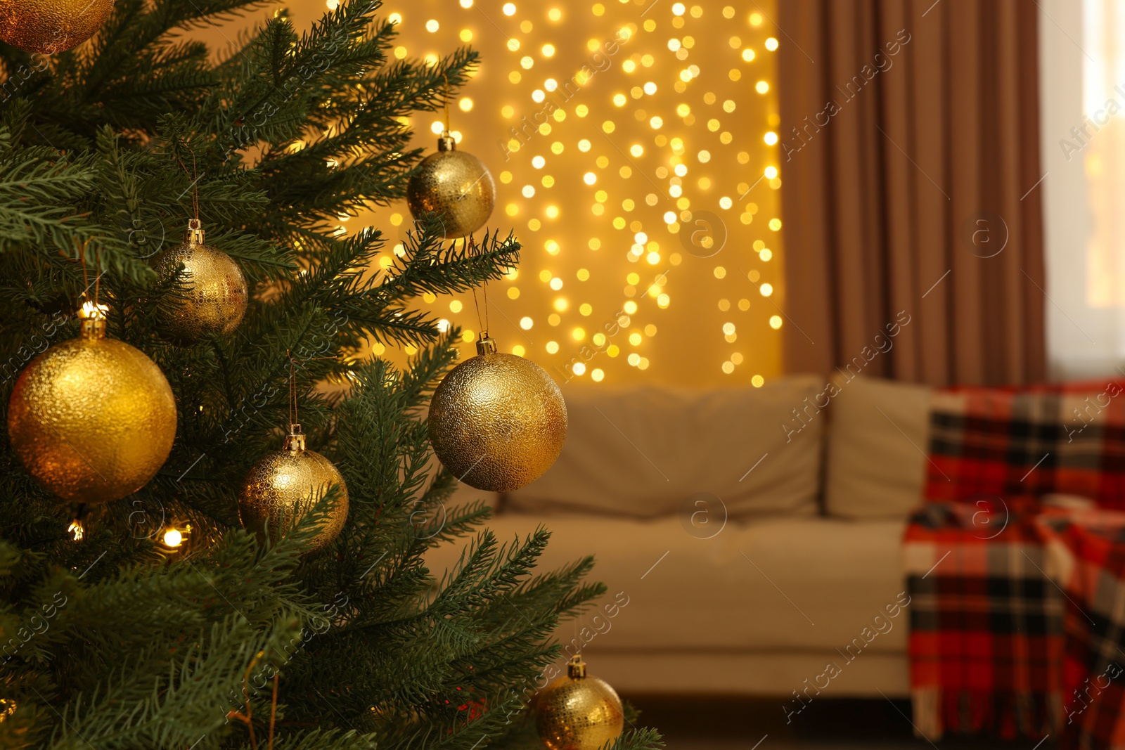 Photo of Shiny baubles hanging on Christmas tree at home. Space for text