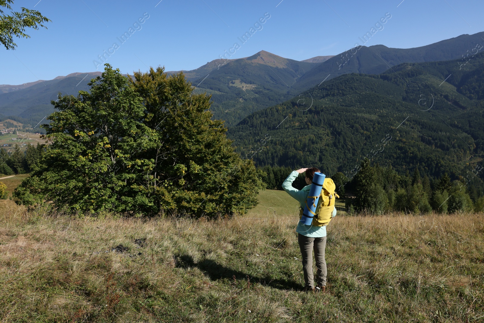 Photo of Tourist with backpack enjoying view in mountains on sunny day