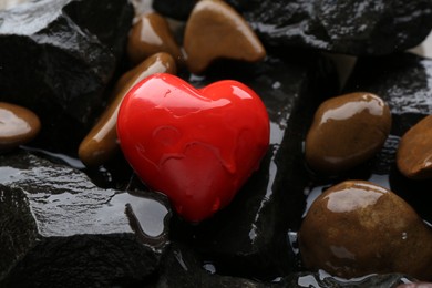 Photo of Red decorative heart on stones and water, closeup