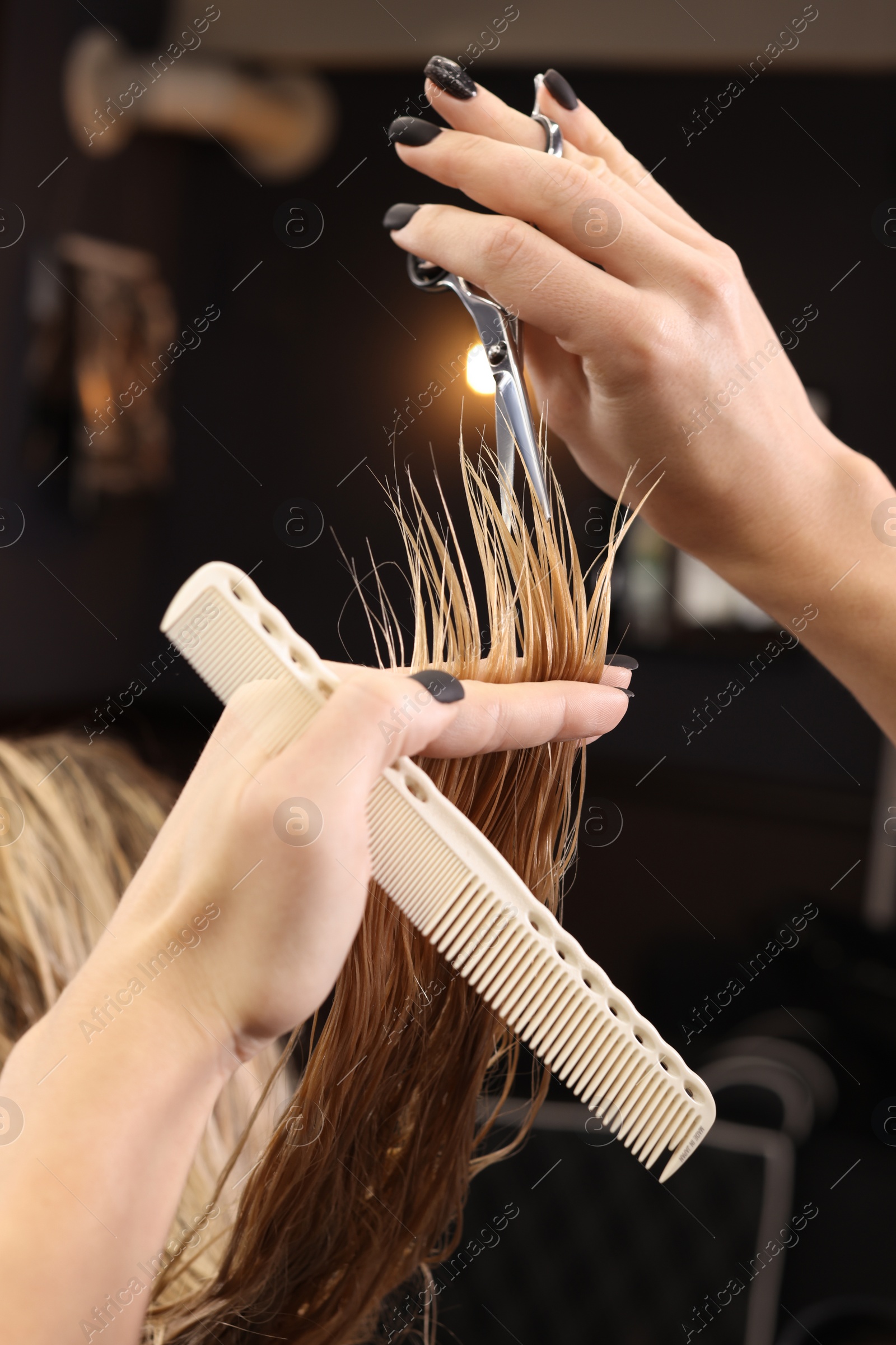 Photo of Professional hairdresser cutting woman's hair in salon, closeup