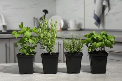 Photo of Pots with basil, thyme, mint and rosemary on grey table in kitchen