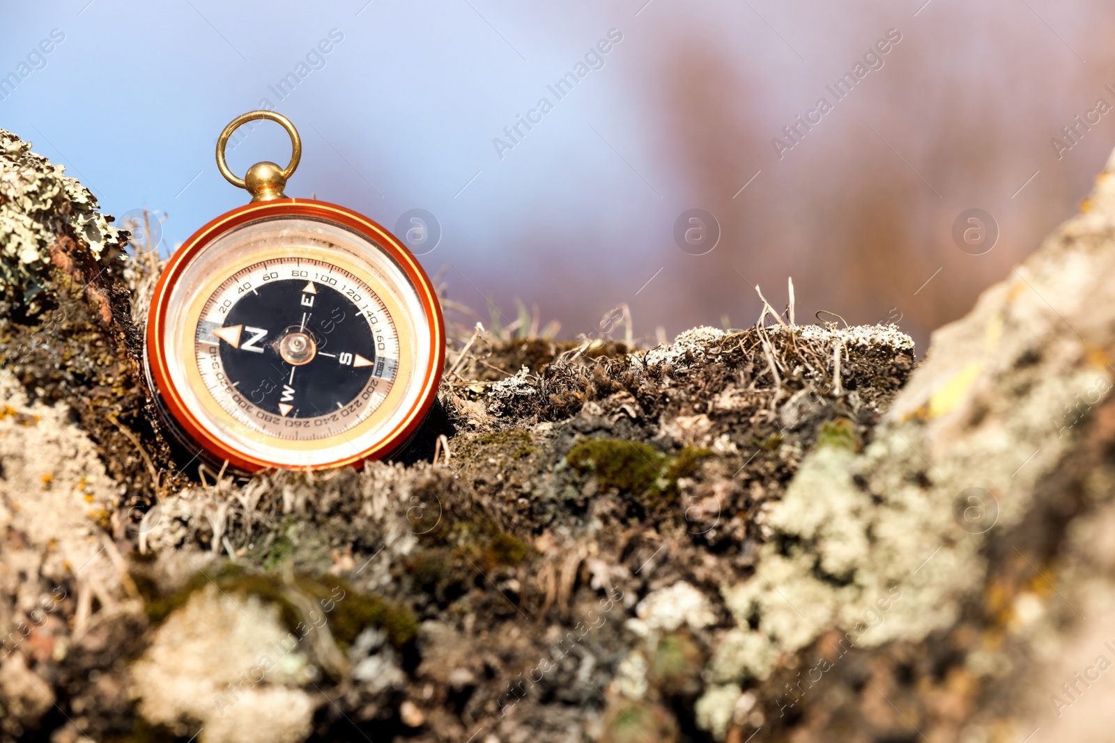 Photo of Compass on rock against blurred background, space for text. Camping equipment