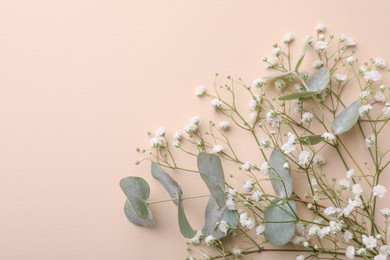 Beautiful gypsophila flowers and eucalyptus branches on beige background, top view. Space for text