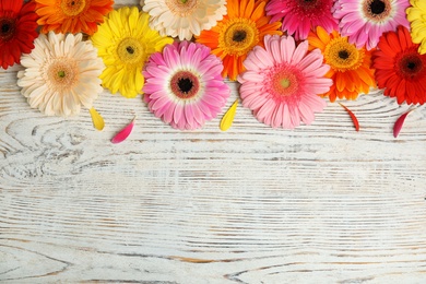 Beautiful bright gerbera flowers on wooden background, top view. Space for text