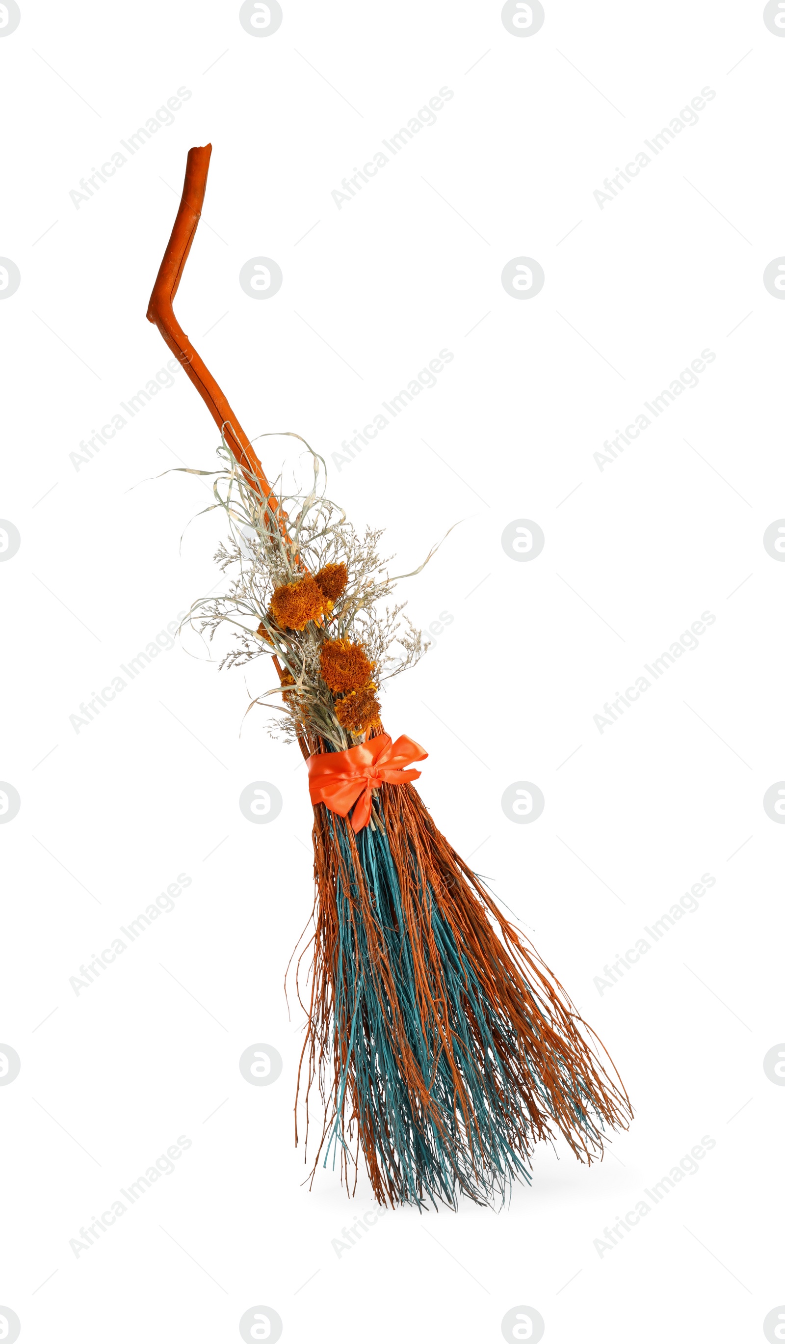 Photo of One colourful witch's broom isolated on white