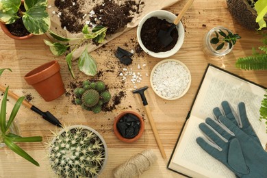 Photo of Houseplants and gardening tools on wooden table, flat lay