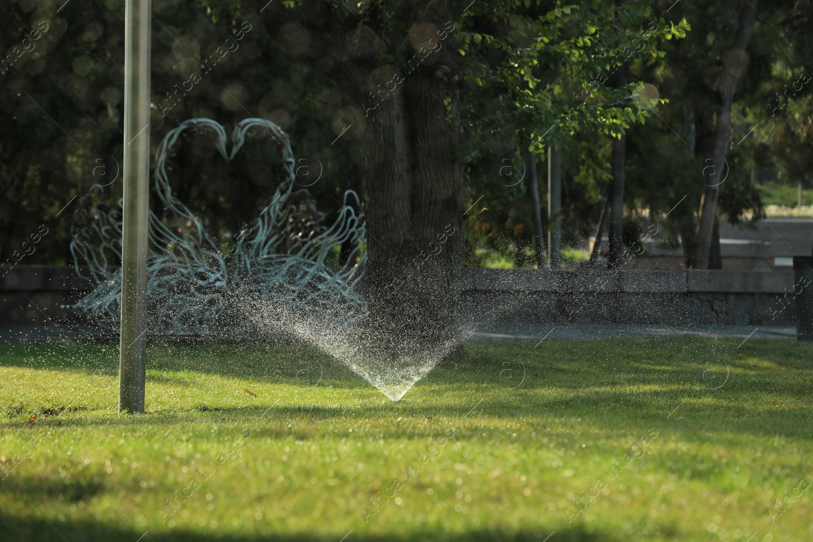 Photo of Automatic sprinkler watering green grass in park. Irrigation system