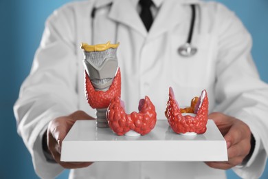 Doctor with plastic model of healthy and afflicted thyroids on light blue background, closeup