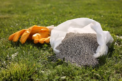 Photo of Granulated fertilizer in sack and gloves on green grass outdoors, closeup