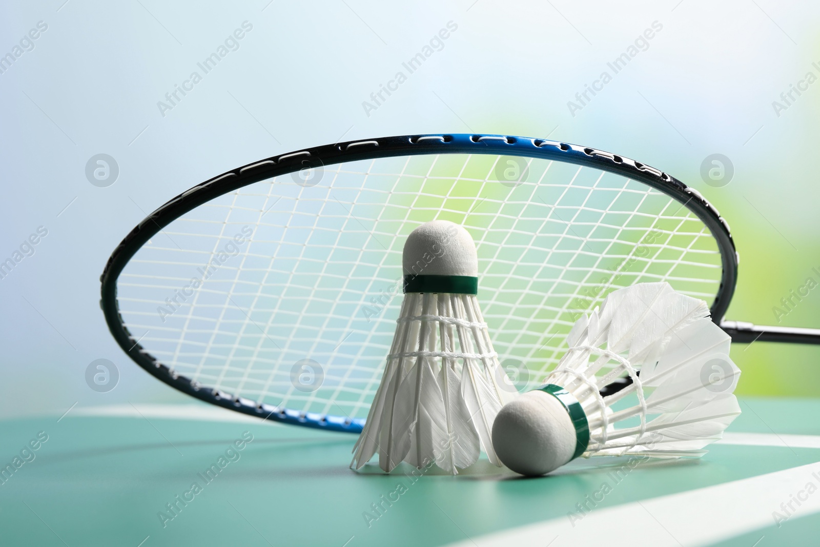 Photo of Feather badminton shuttlecocks and racket on green table against blurred background, closeup