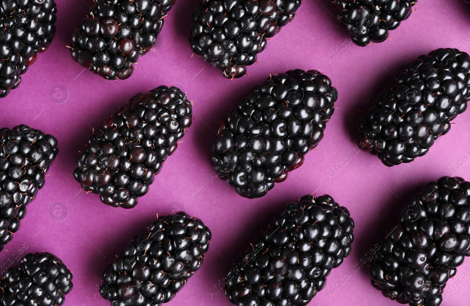 Photo of Tasty ripe blackberries on purple background, flat lay