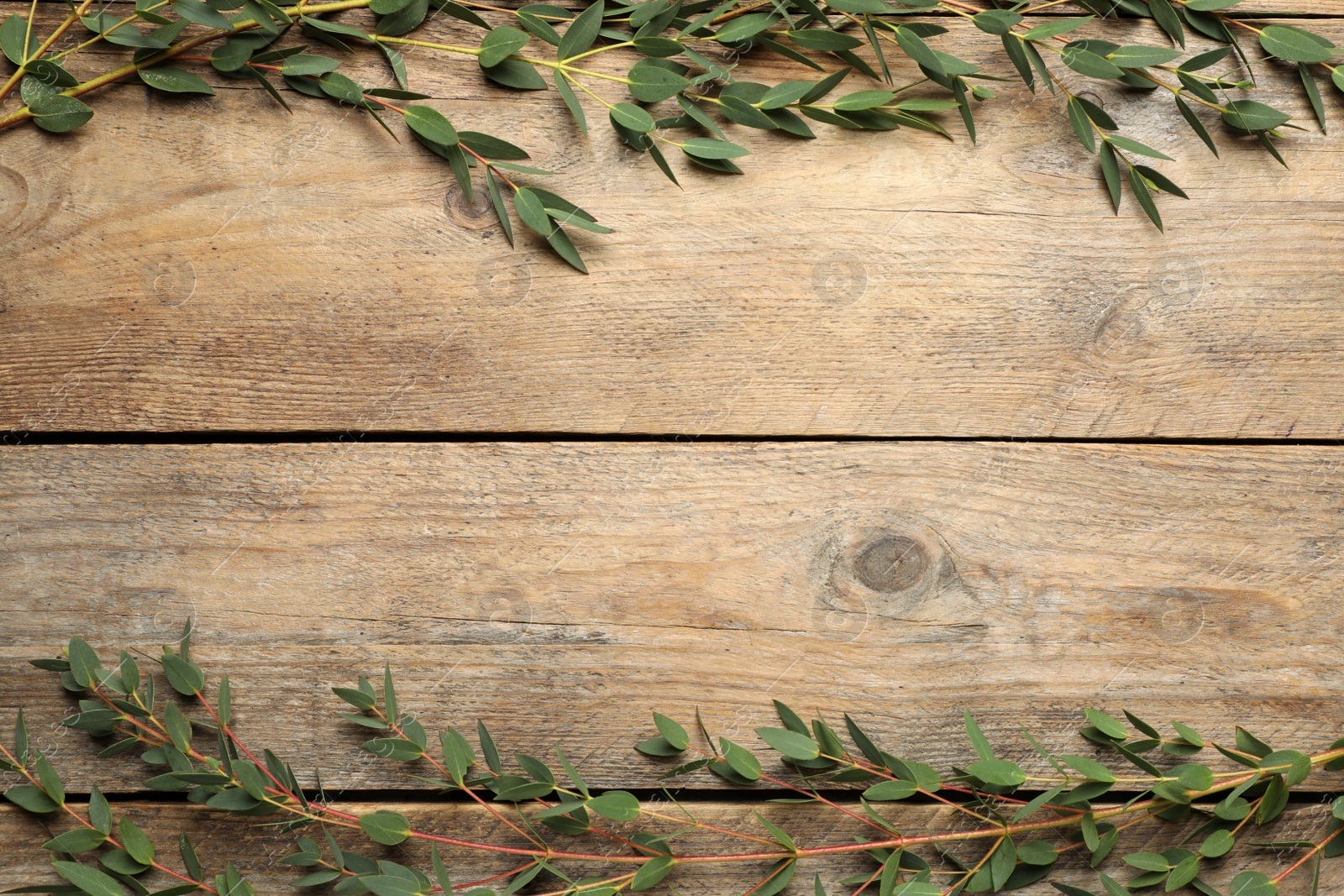 Photo of Eucalyptus branches with fresh green leaves on wooden table, flat lay. Space for text