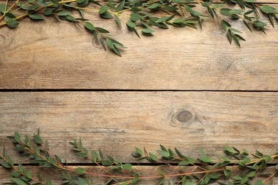 Photo of Eucalyptus branches with fresh green leaves on wooden table, flat lay. Space for text