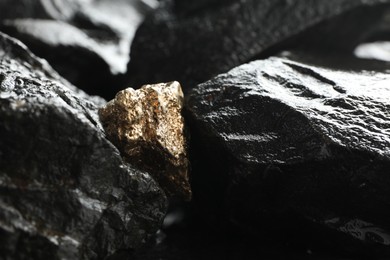 Photo of Shiny gold nugget on wet stones, closeup