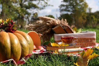 Books, cup of tea and pumpkin on plaid in park. Autumn atmosphere