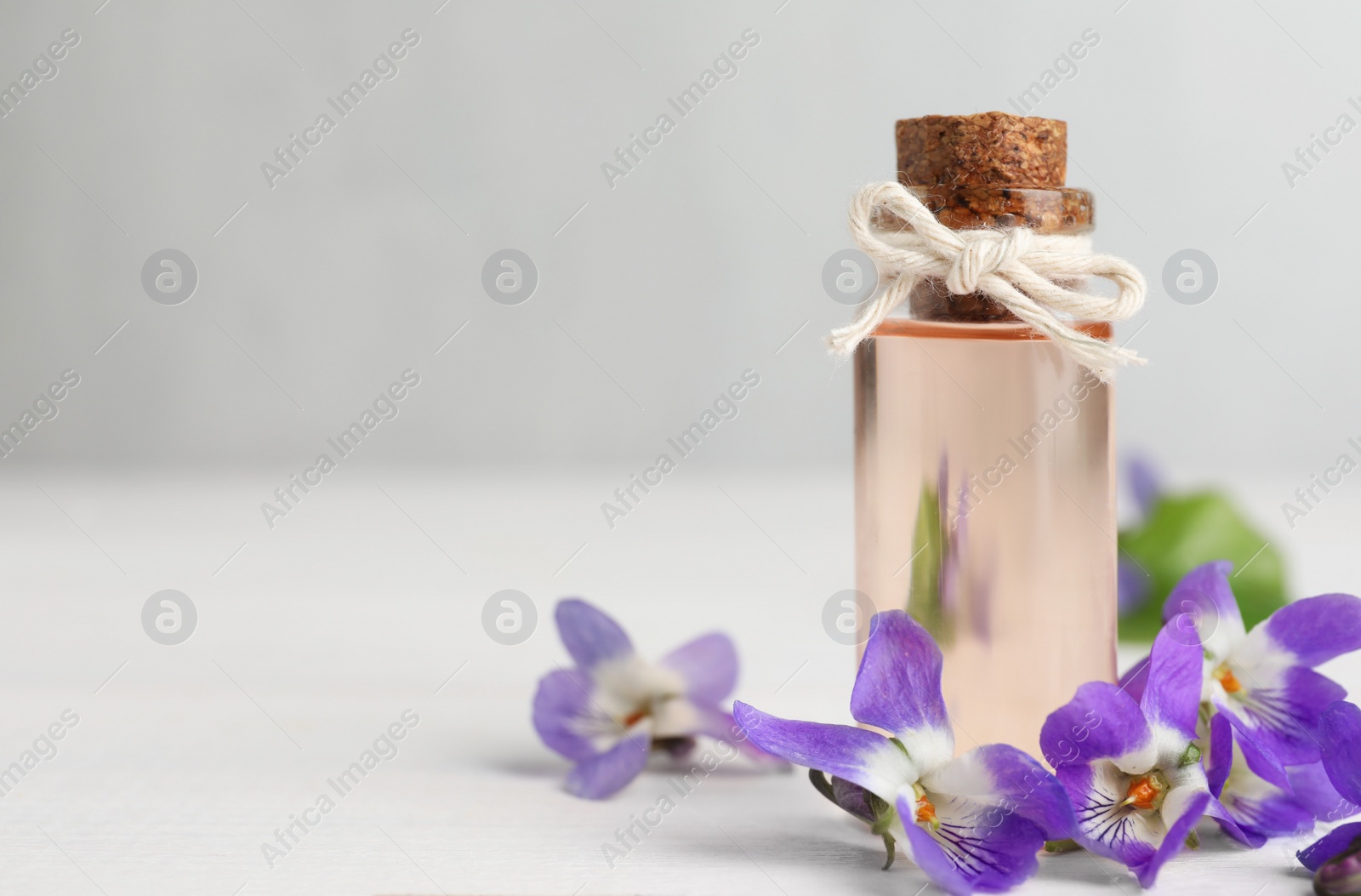 Photo of Beautiful wood violets and essential oil on white table, space for text. Spring flowers