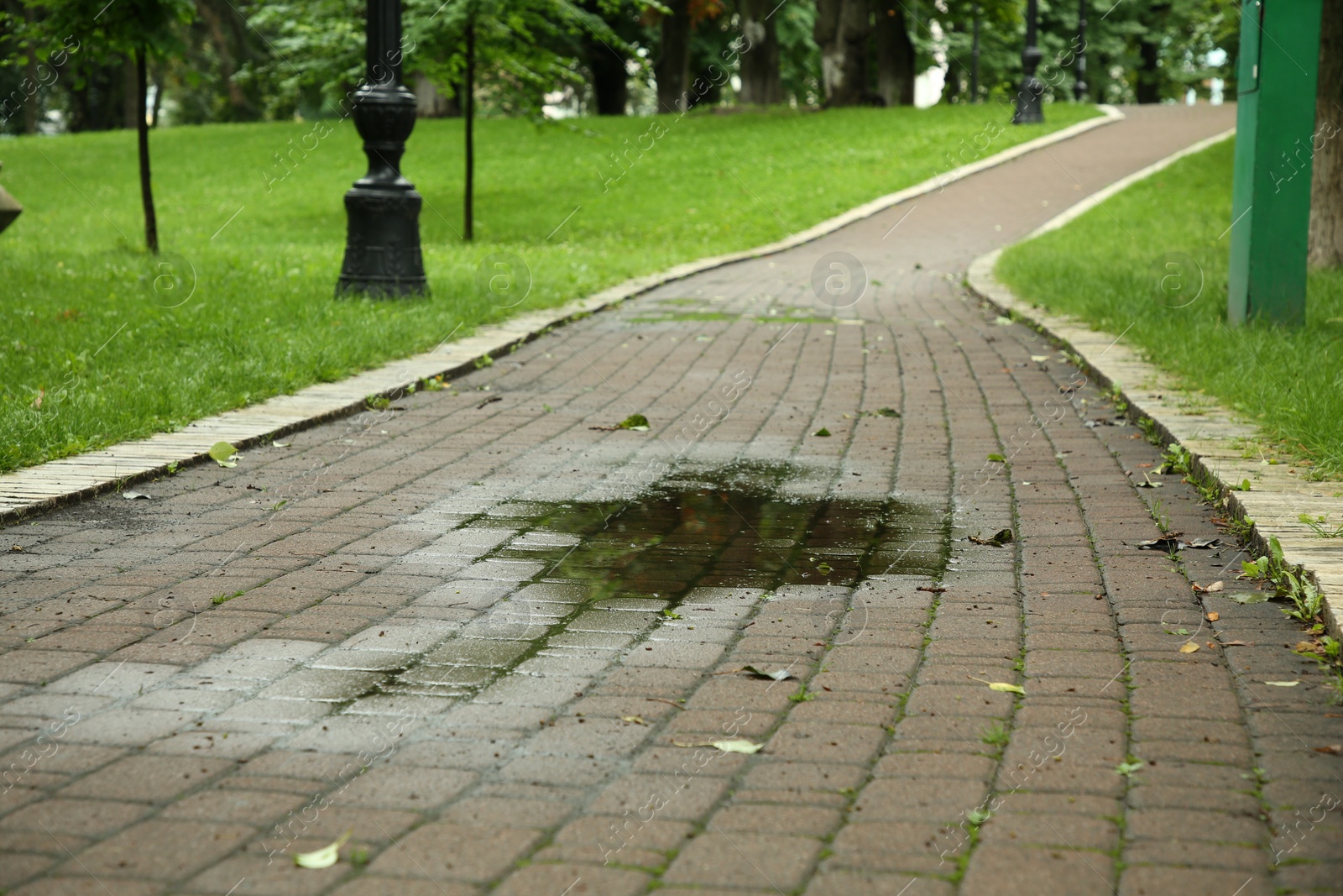 Photo of Puddle of rain water on paved pathway in park