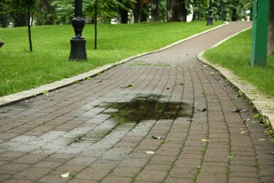 Puddle of rain water on paved pathway in park