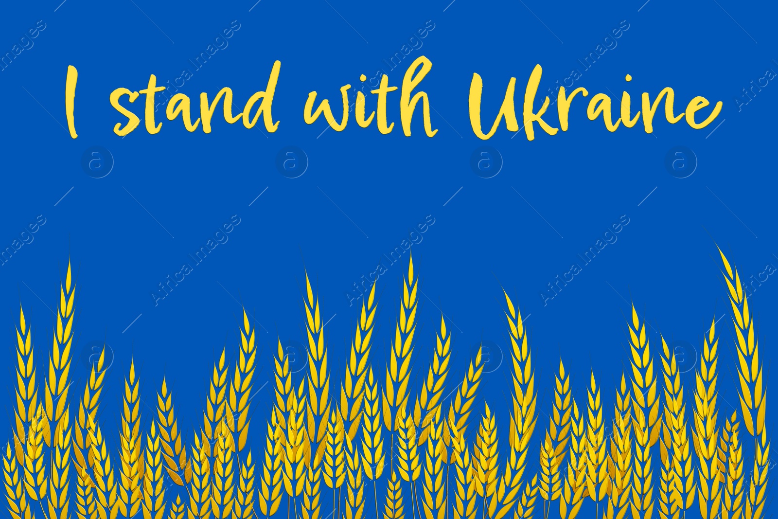 Illustration of I Stand With Ukraine. Phrase over illustration of wheat field on light blue background