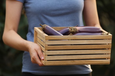 Woman holding wooden crate with ripe eggplants on blurred green background, closeup