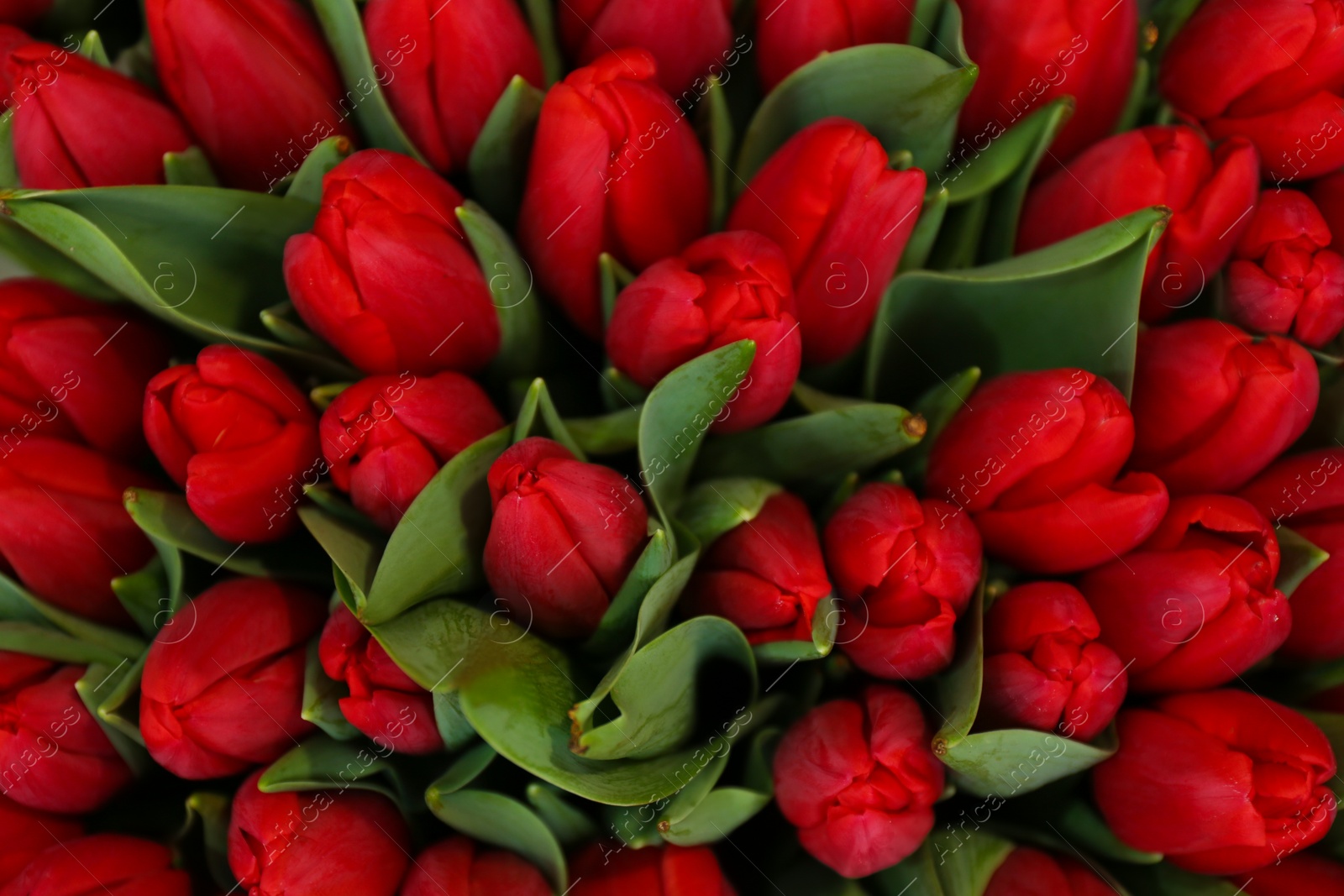 Photo of Beautiful bouquet of tulip flowers, top view