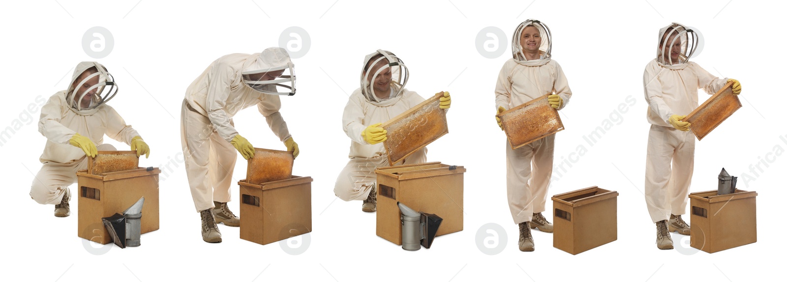 Image of Collage with photos of beekeeper in uniform holding frames with honeycombs on white background. Banner design