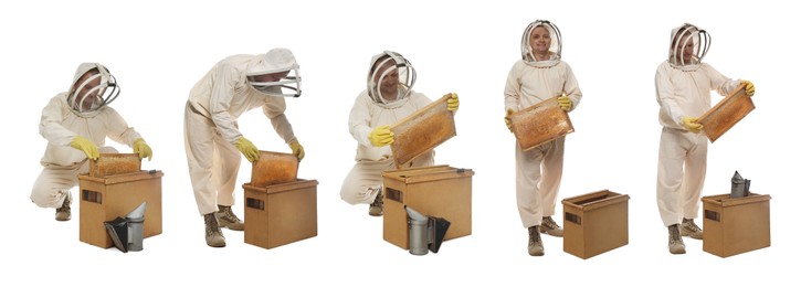 Collage with photos of beekeeper in uniform holding frames with honeycombs on white background. Banner design