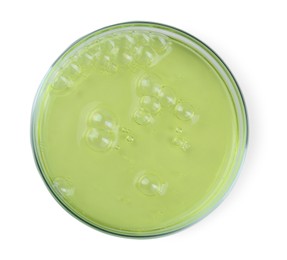 Photo of Petri dish with color liquid sample isolated on white, top view