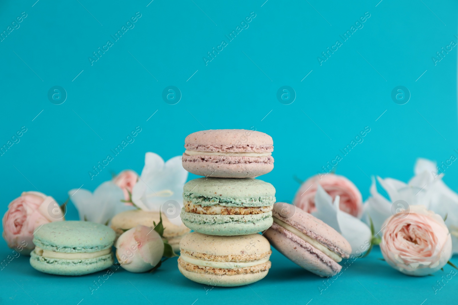 Photo of Delicious macarons and flowers on light blue background, space for text