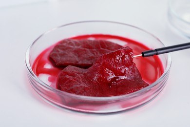 Photo of Petri dish with pieces of raw cultured meat and dissecting needle on white table, closeup