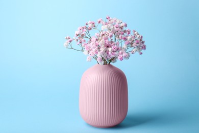 Photo of Beautiful dyed gypsophila flowers in pink vase on light blue background