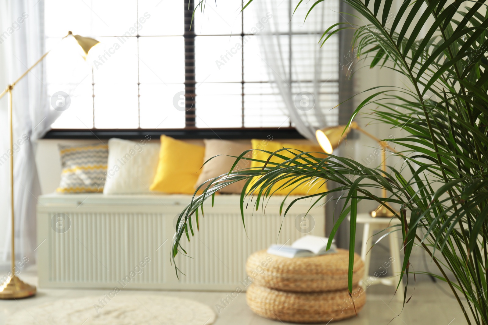 Photo of Blurred view of modern room interior, focus on palm leaves