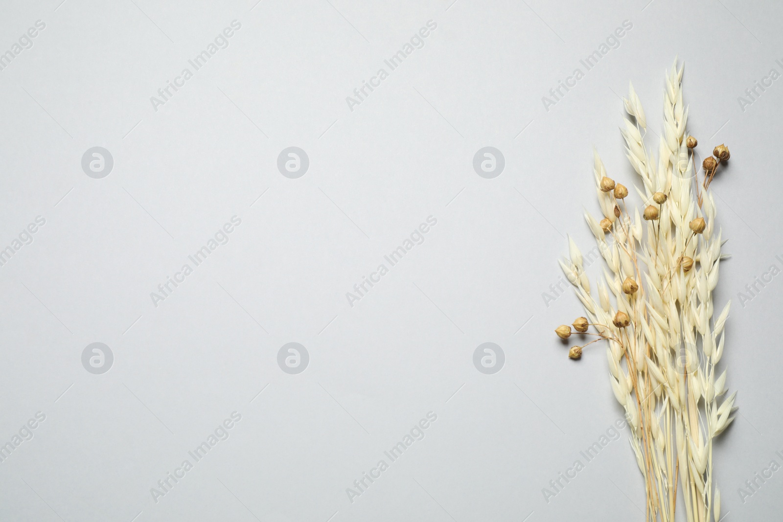 Photo of Bouquet of dried flowers on light grey background, flat lay. Space for text