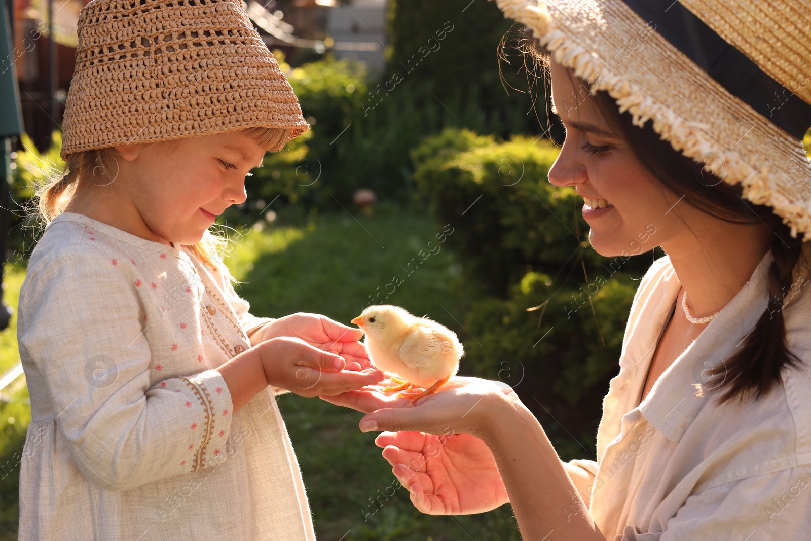 Photo of Happy mother and her little daughter with cute chick outdoors