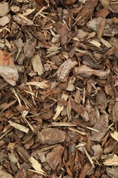 Photo of Tree bark pieces as background, top view