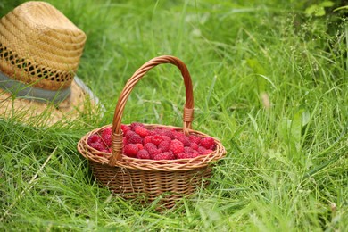Photo of Wicker basket with ripe raspberries and straw hat on green grass outdoors. Space for text
