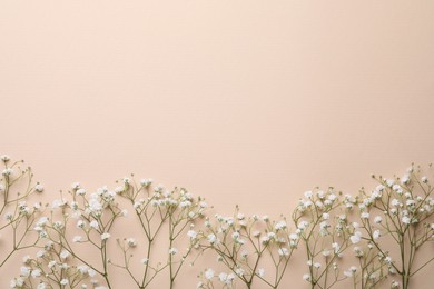 Photo of Beautiful gypsophila flowers on beige background, flat lay. Space for text