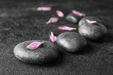 Photo of Spa stones and flower petals on dark background