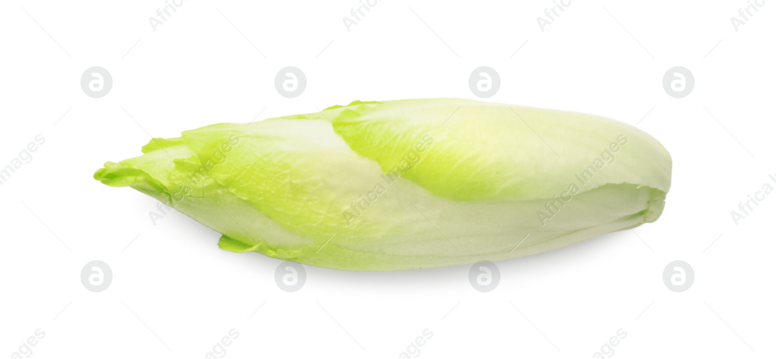 Photo of One raw ripe chicory isolated on white, top view